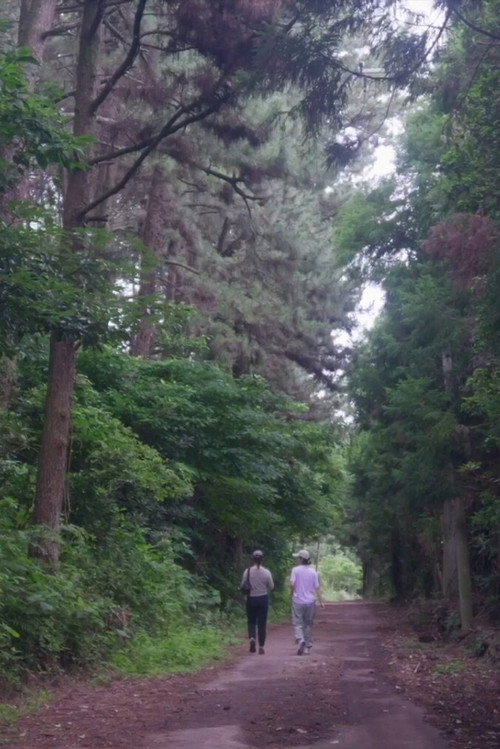 The Time of Jeju Poster