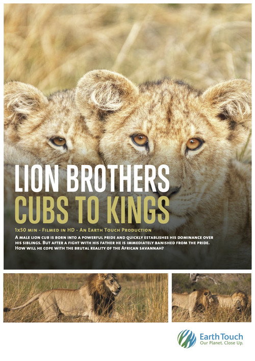 Lion Brothers: Cubs to Kings Poster