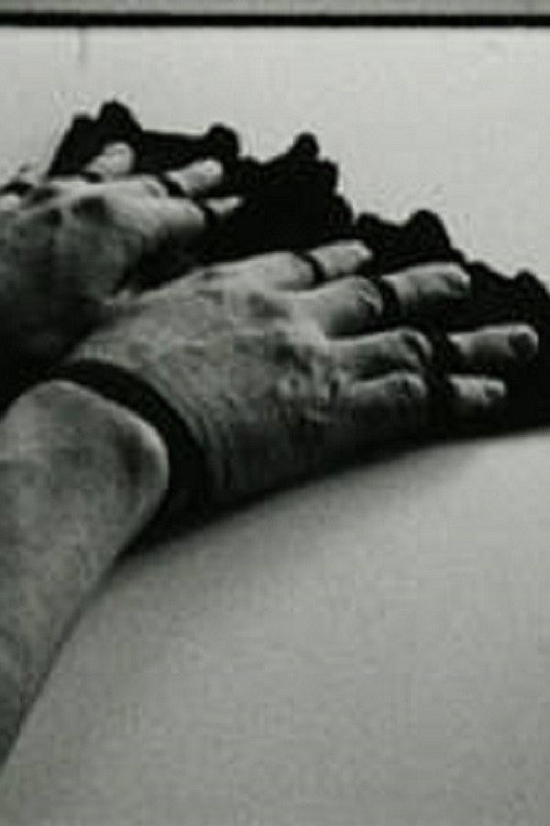 Fingerfächer Poster
