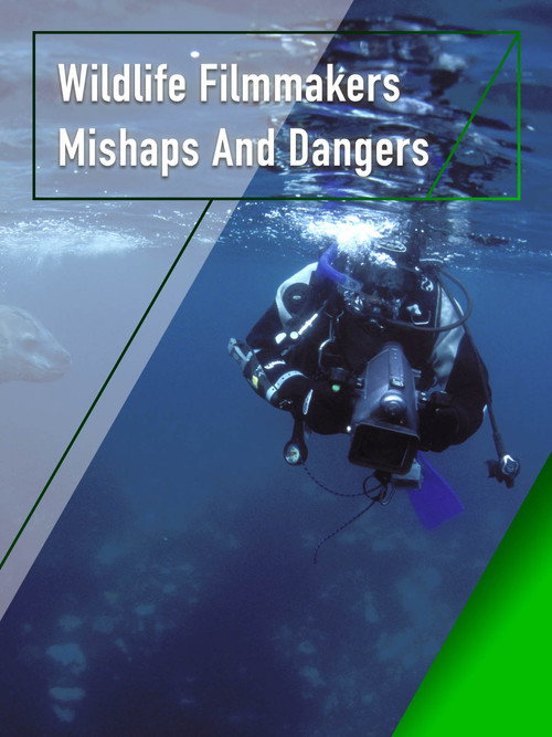 Wildlife Filmmakers: Mishaps and Dangers Poster