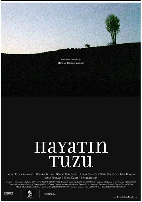 Hayatın Tuzu Poster