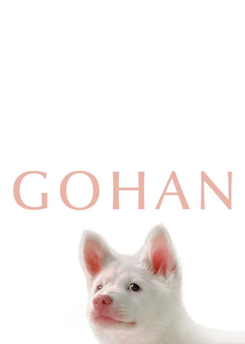 Gohan Poster