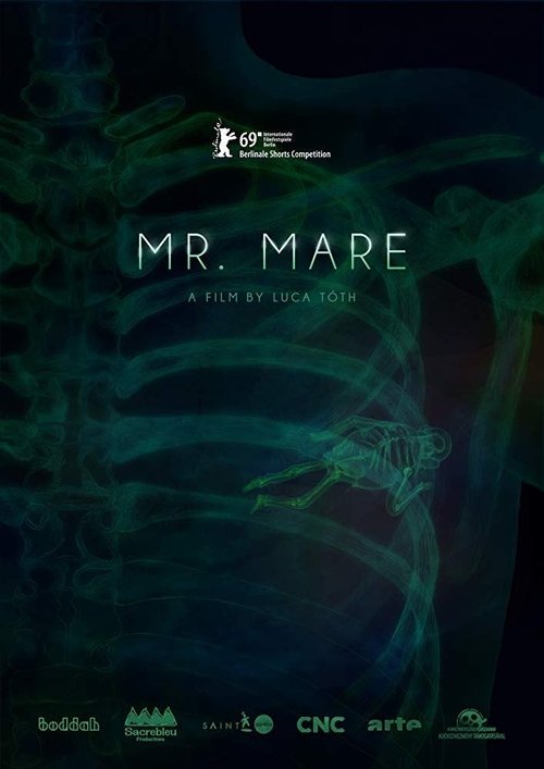 Mr. Mare Poster