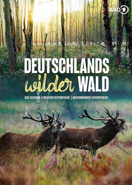 Das geheime Leben der Rothirsche Poster