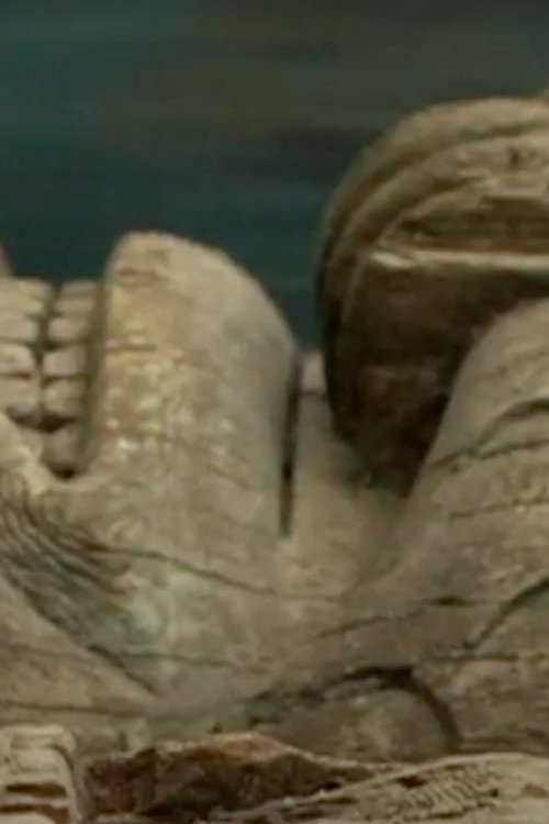 Cedar and Bamboo Poster