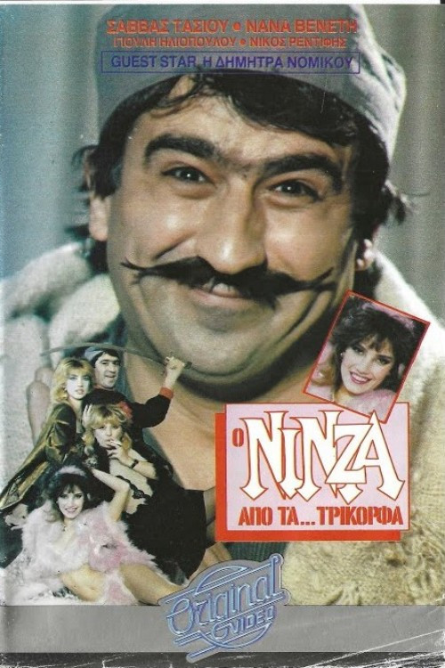 Ο νίνζα από τα...Τρίκορφα Poster