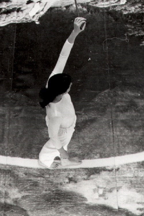 Die einsame Spaziergängerin Poster