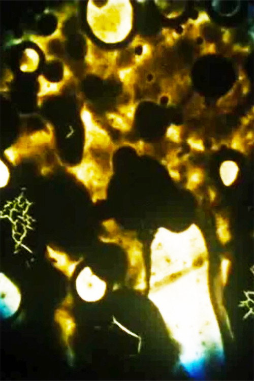 Microbes Poster