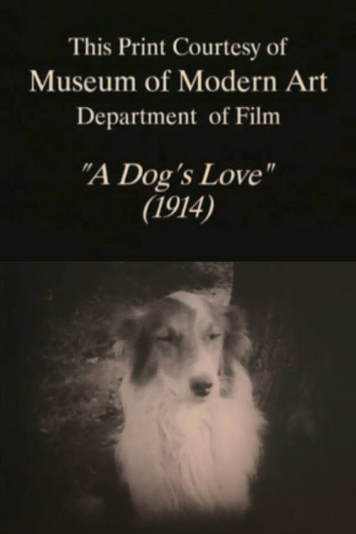 A Dog's Love Poster