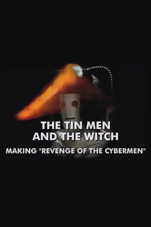 The Tin Men and the Witch Poster