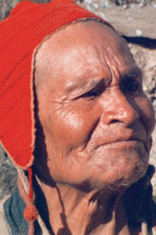 Spirit Possession of Alejandro Mamani Poster