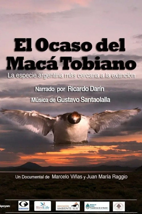 El Ocaso del Macá Tobiano Poster