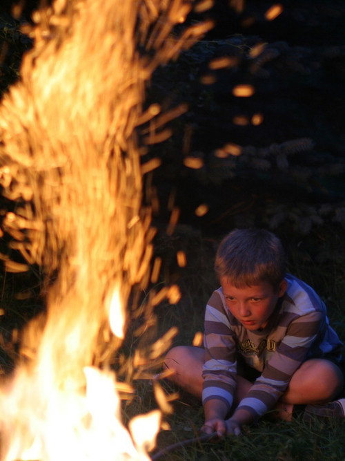 House in the Lake Poster