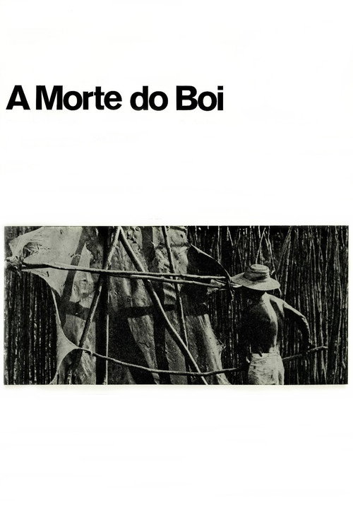 A Morte do Boi Poster