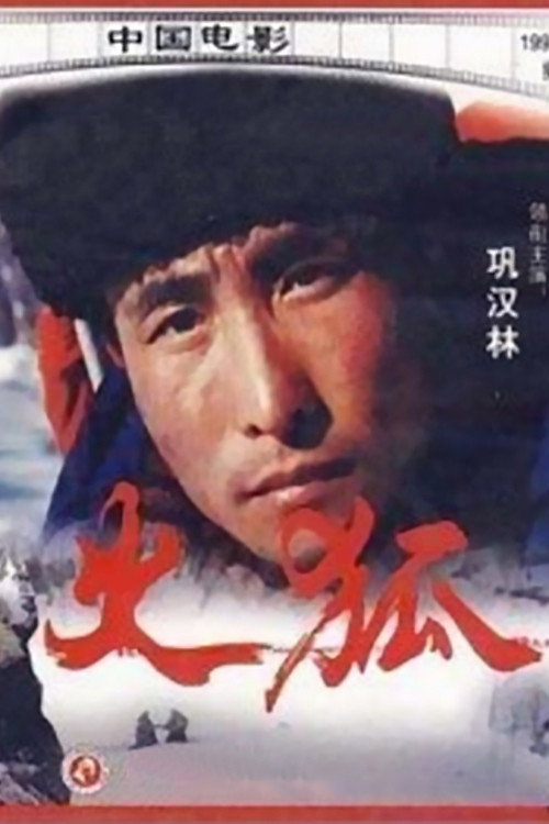 Sparkling Fox Poster