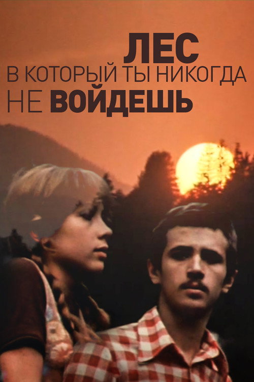 The Forest You'll Never Enter Poster