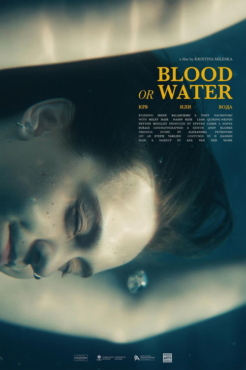 Blood or Water Poster