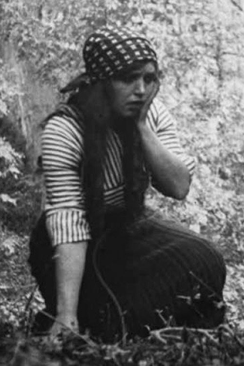 The Mountaineer's Romance Poster