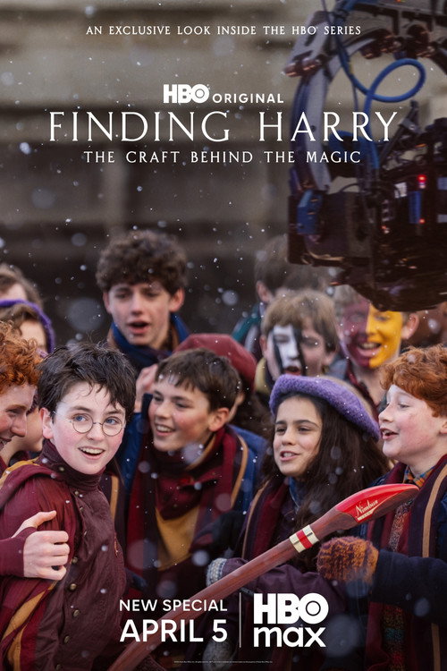 Finding Harry: The Craft Behind the Magic Poster