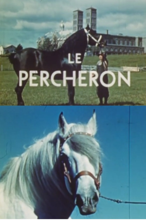The Percheron Poster