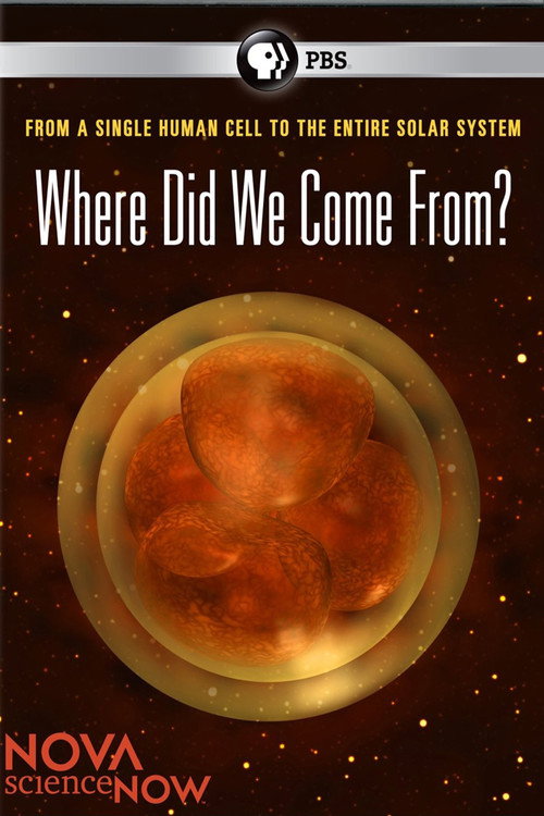 Where Did We Come From? Poster