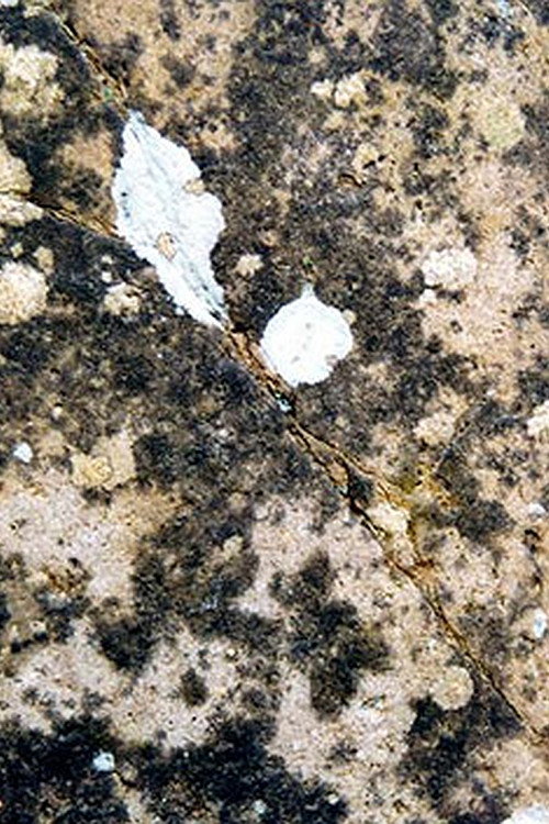 Metamorphose Works No.2 Poster