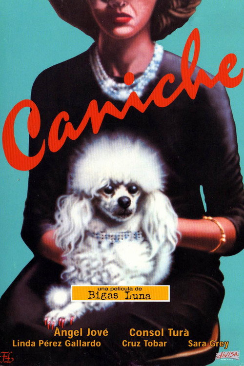Poodle Poster