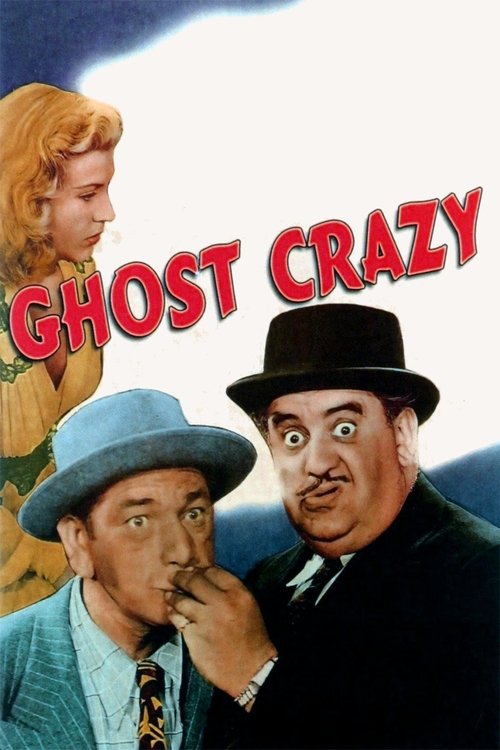 Crazy Knights Poster