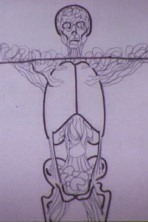 Love at First Sight Poster