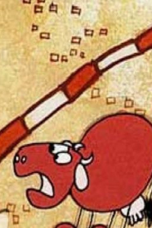 Cow at the Border Poster