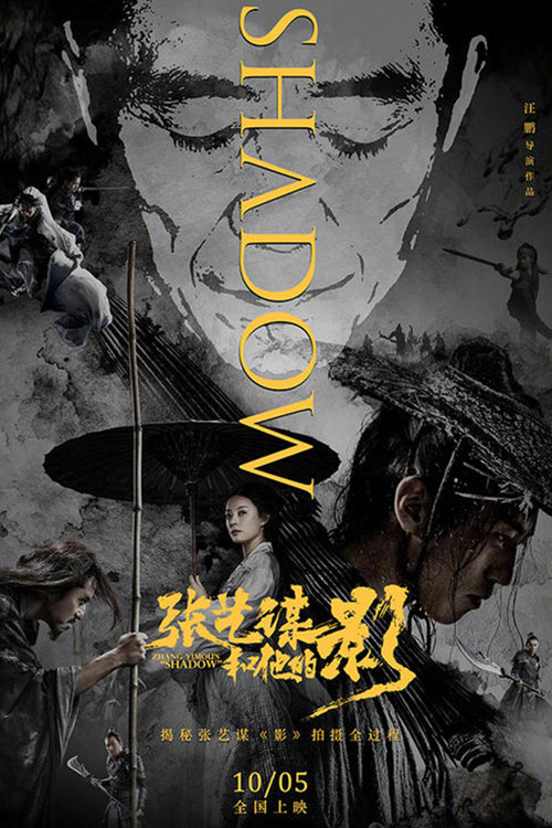 Zhang Yimou's "Shadow" Poster