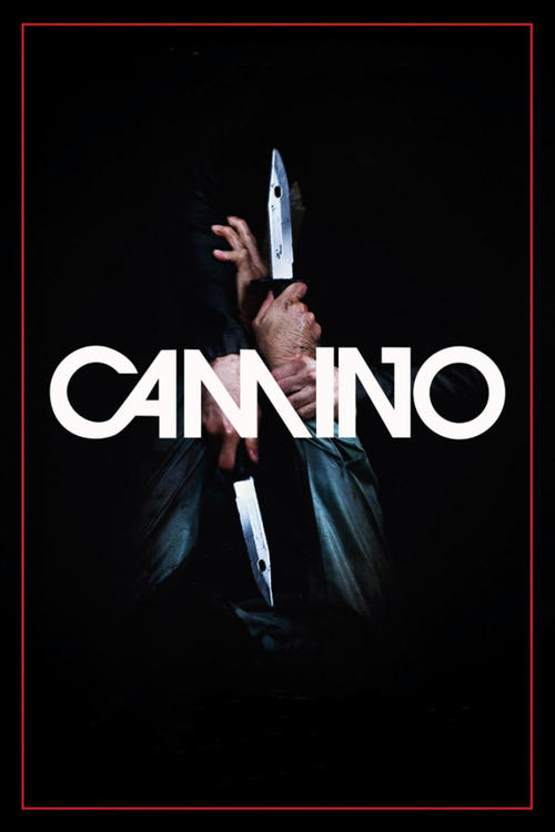Camino Poster