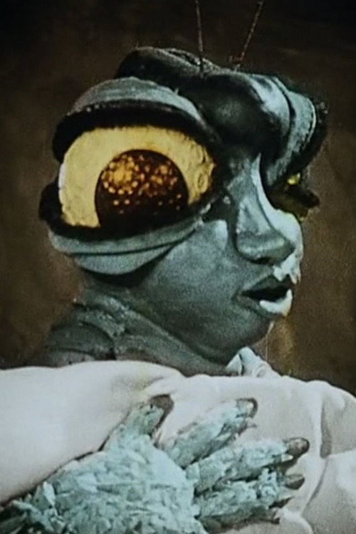 In the Spider's Grip Poster