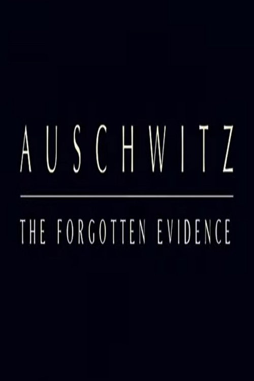 Auschwitz: The Forgotten Evidence Poster