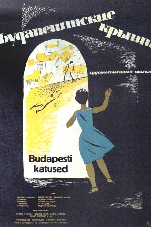 On the Roofs of Budapest Poster