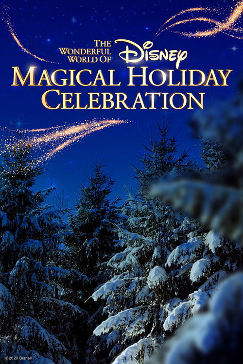 The Wonderful World of Disney: Magical Holiday Celebration Poster
