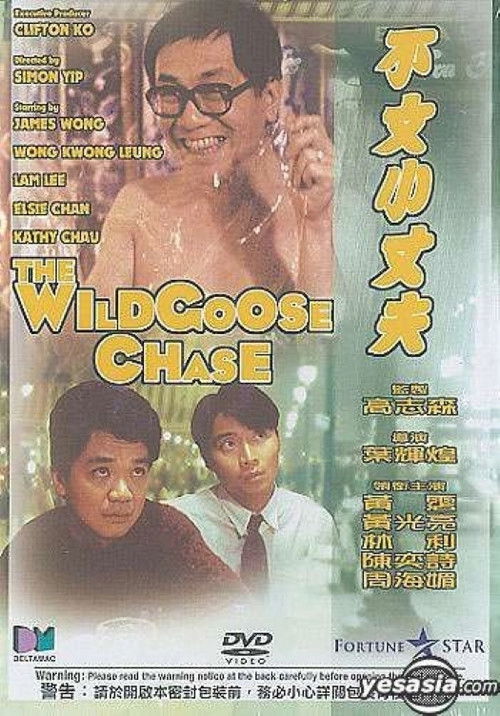 The Wildgoose Chase Poster