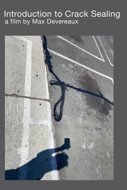 Introduction to Crack Sealing Poster