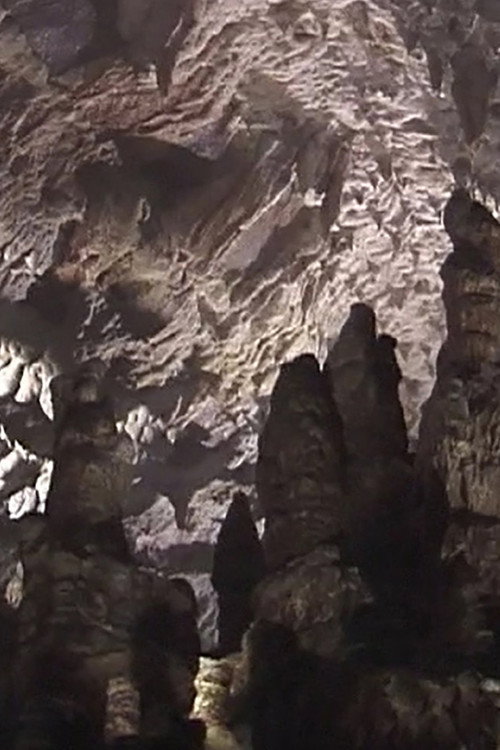 Nine Guided Tours Poster