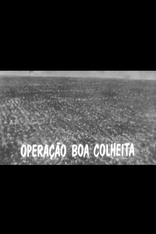 Operação Boa Colheita Poster