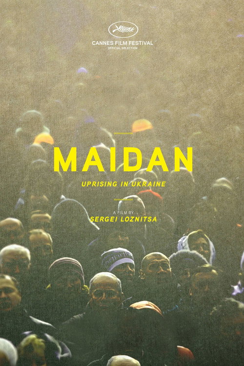 Maidan Poster