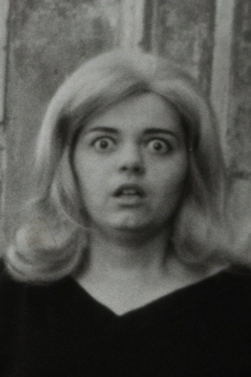 Alla ricerca dell'impossibile Poster