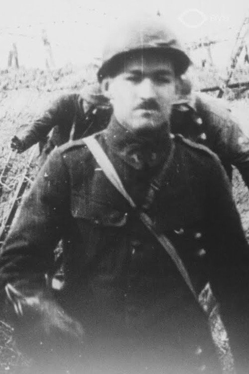 For World Peace Poster