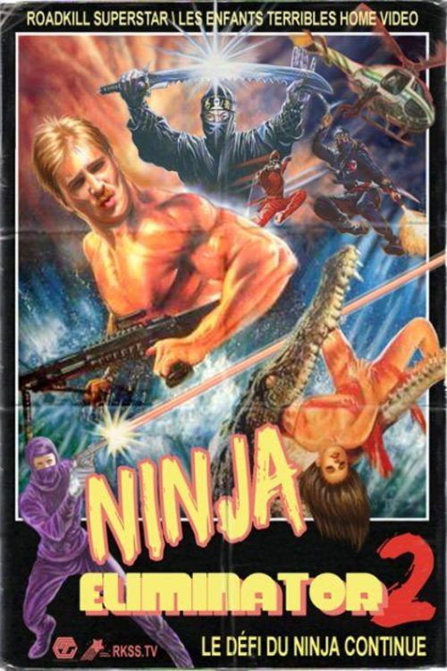 Ninja Eliminator 2: Quest of the Magic Ninja Crystal Poster