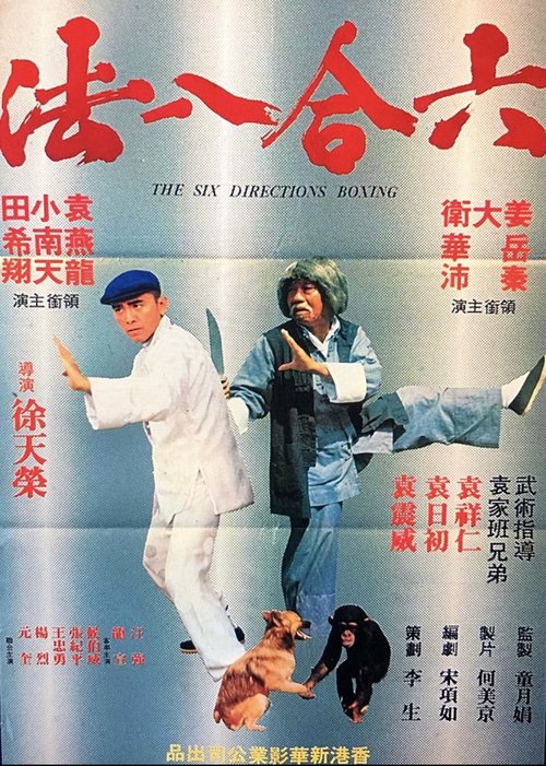The Six Directions of Boxing Poster