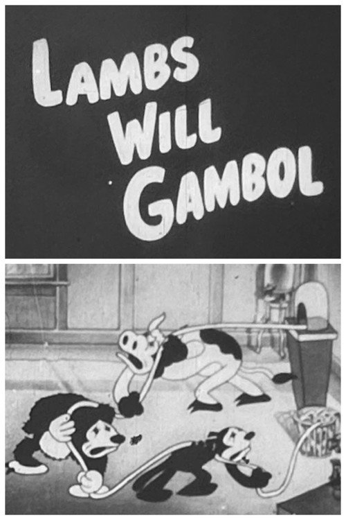 Lambs Will Gamble Poster