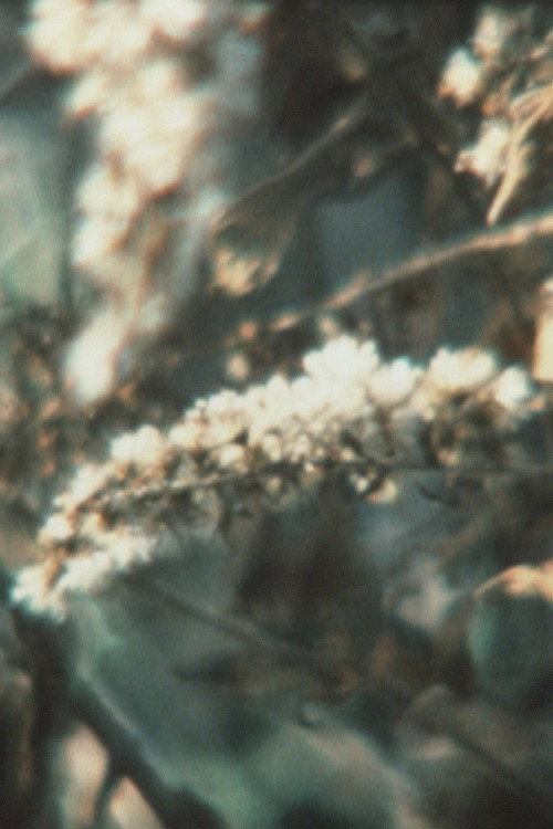 Super 8 Diary - 1994 Poster