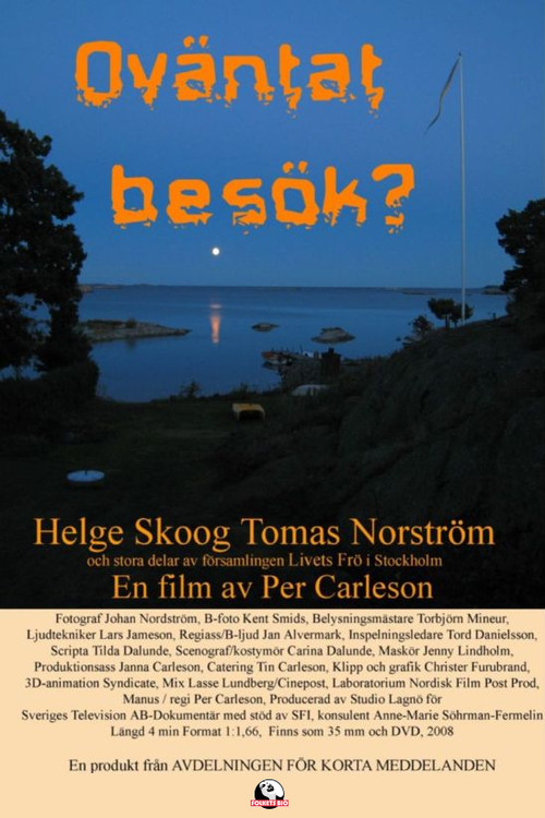 Unexpected Company? Poster