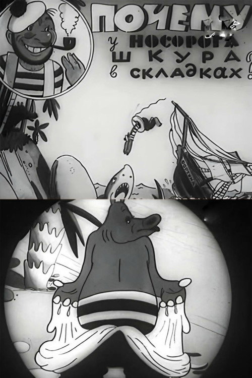 Why Does a Rhino Have Skin Folds? Poster