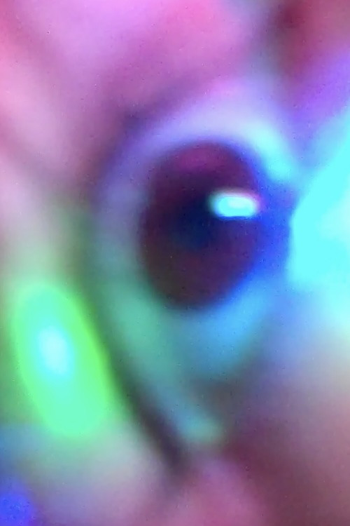 cortisol_inside cortisol_explosion excessive_cortisol cortisol_everywhere Poster